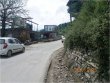 FAGGU, Shimla