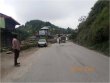 BHAKHALTI, Shimla
